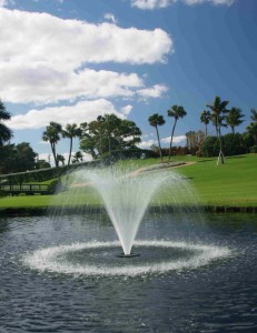 HP pond and lake fountain for aeration. 