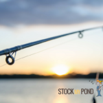 Stock My Pond Fishing Pole