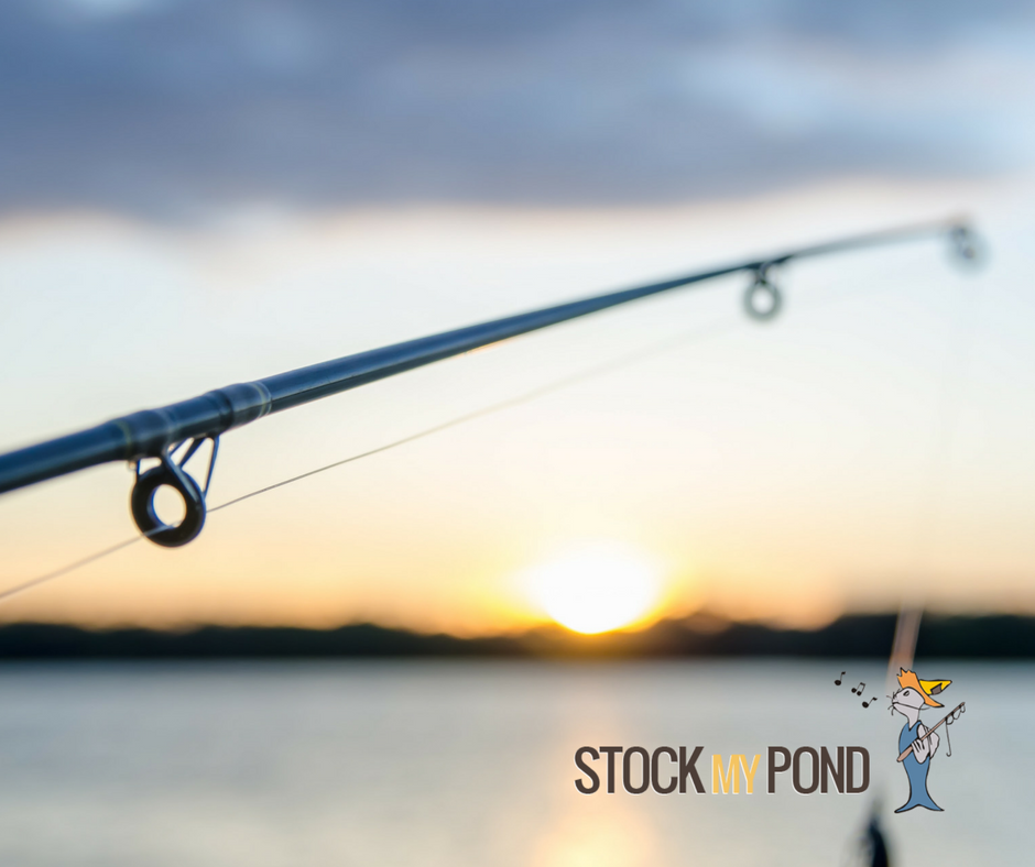 Stock My Pond Fishing Pole Stock My Pond