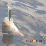Stock My Pond hooked fish