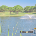 Stock My Pond lake view (1)