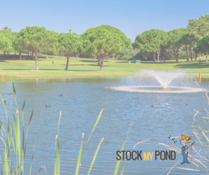 Stock My Pond in Conway, Missouri
