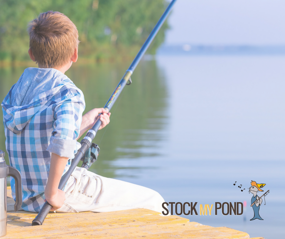 Stock my Pond boy Fishing Stock My Pond