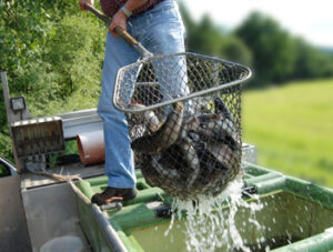 Stock My Pond visits First County Feed located in Crockett, TX.